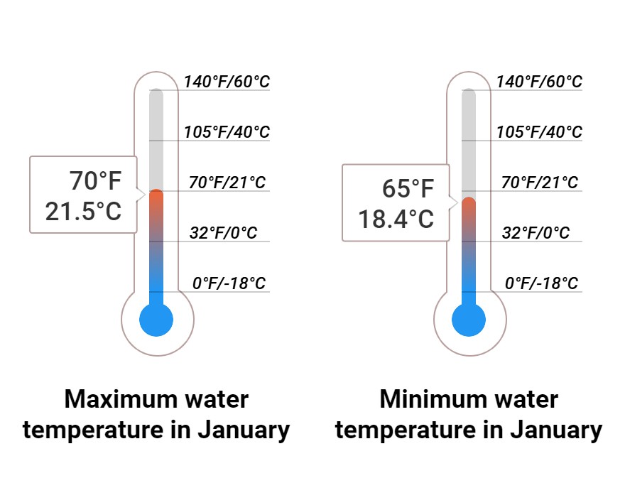 Average Sea temperature